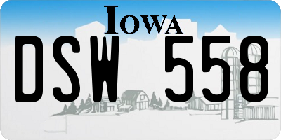 IA license plate DSW558