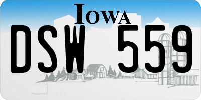 IA license plate DSW559