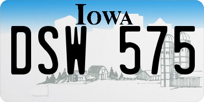 IA license plate DSW575