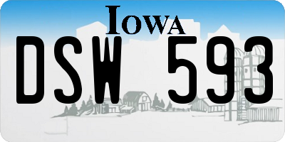 IA license plate DSW593