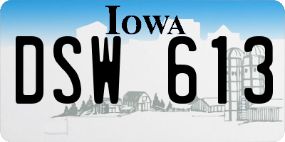 IA license plate DSW613