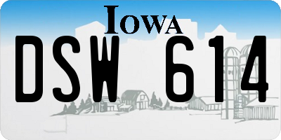 IA license plate DSW614