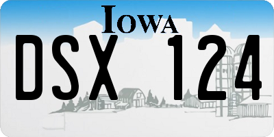 IA license plate DSX124