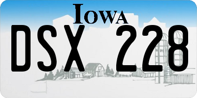 IA license plate DSX228
