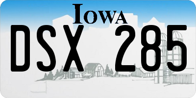 IA license plate DSX285