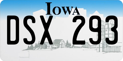 IA license plate DSX293