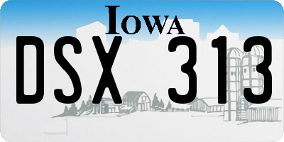 IA license plate DSX313