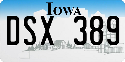 IA license plate DSX389