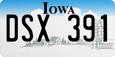 IA license plate DSX391
