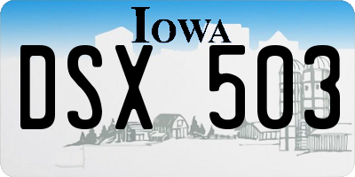 IA license plate DSX503