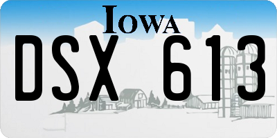 IA license plate DSX613
