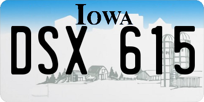 IA license plate DSX615
