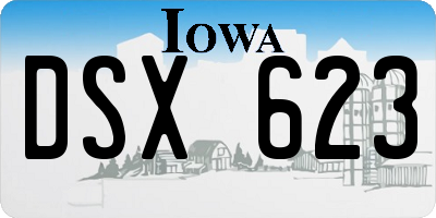 IA license plate DSX623