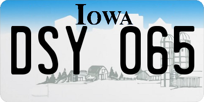 IA license plate DSY065