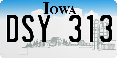 IA license plate DSY313