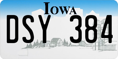 IA license plate DSY384