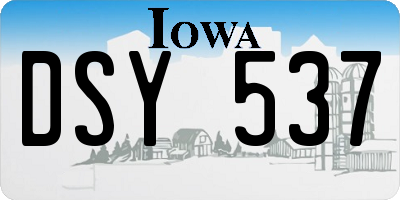 IA license plate DSY537