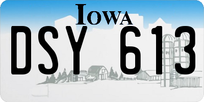 IA license plate DSY613