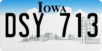 IA license plate DSY713