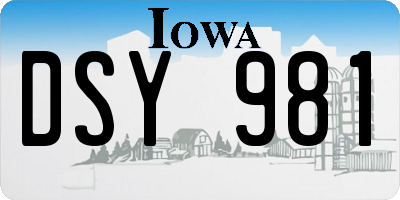 IA license plate DSY981