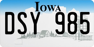 IA license plate DSY985
