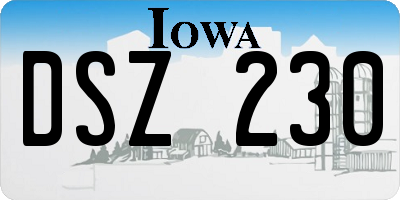 IA license plate DSZ230
