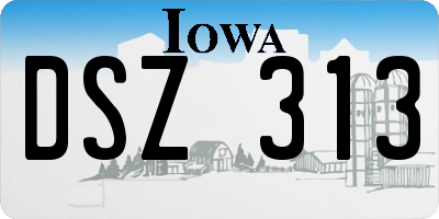 IA license plate DSZ313