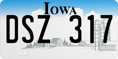 IA license plate DSZ317