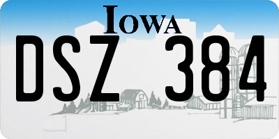 IA license plate DSZ384