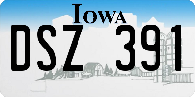 IA license plate DSZ391