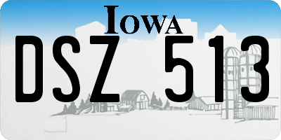 IA license plate DSZ513