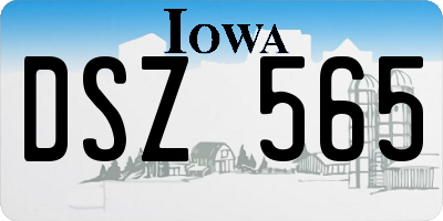 IA license plate DSZ565