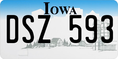 IA license plate DSZ593
