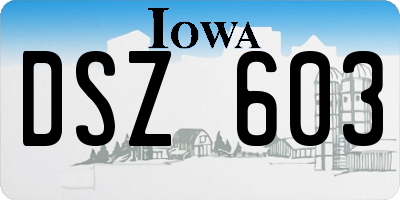 IA license plate DSZ603