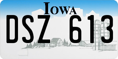 IA license plate DSZ613