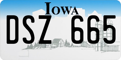 IA license plate DSZ665
