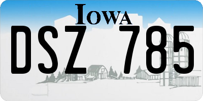 IA license plate DSZ785
