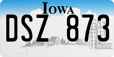 IA license plate DSZ873