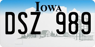 IA license plate DSZ989