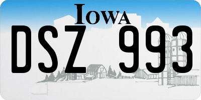 IA license plate DSZ993