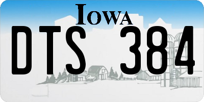 IA license plate DTS384