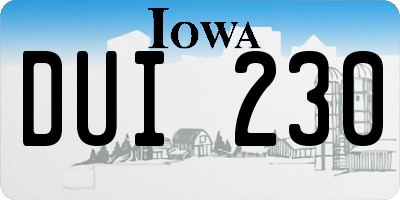 IA license plate DUI230