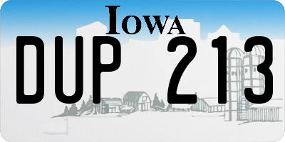 IA license plate DUP213