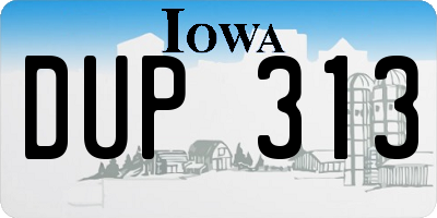 IA license plate DUP313
