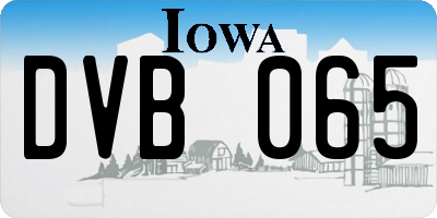 IA license plate DVB065