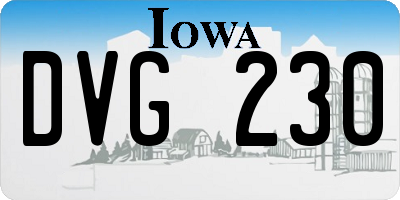 IA license plate DVG230