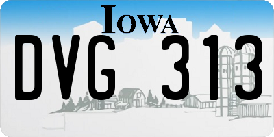 IA license plate DVG313