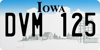 IA license plate DVM125