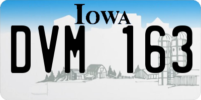 IA license plate DVM163