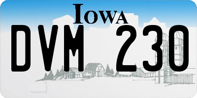 IA license plate DVM230